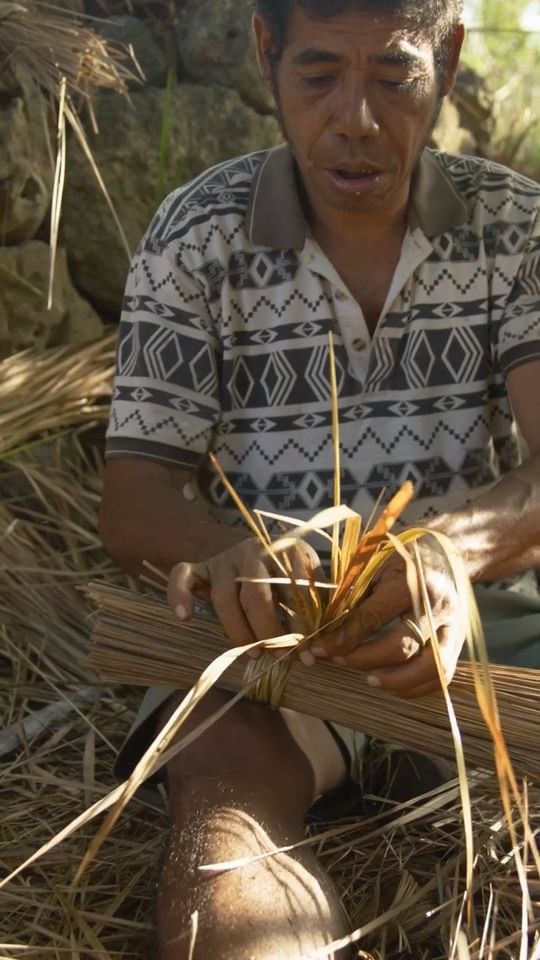 Grass Weavers