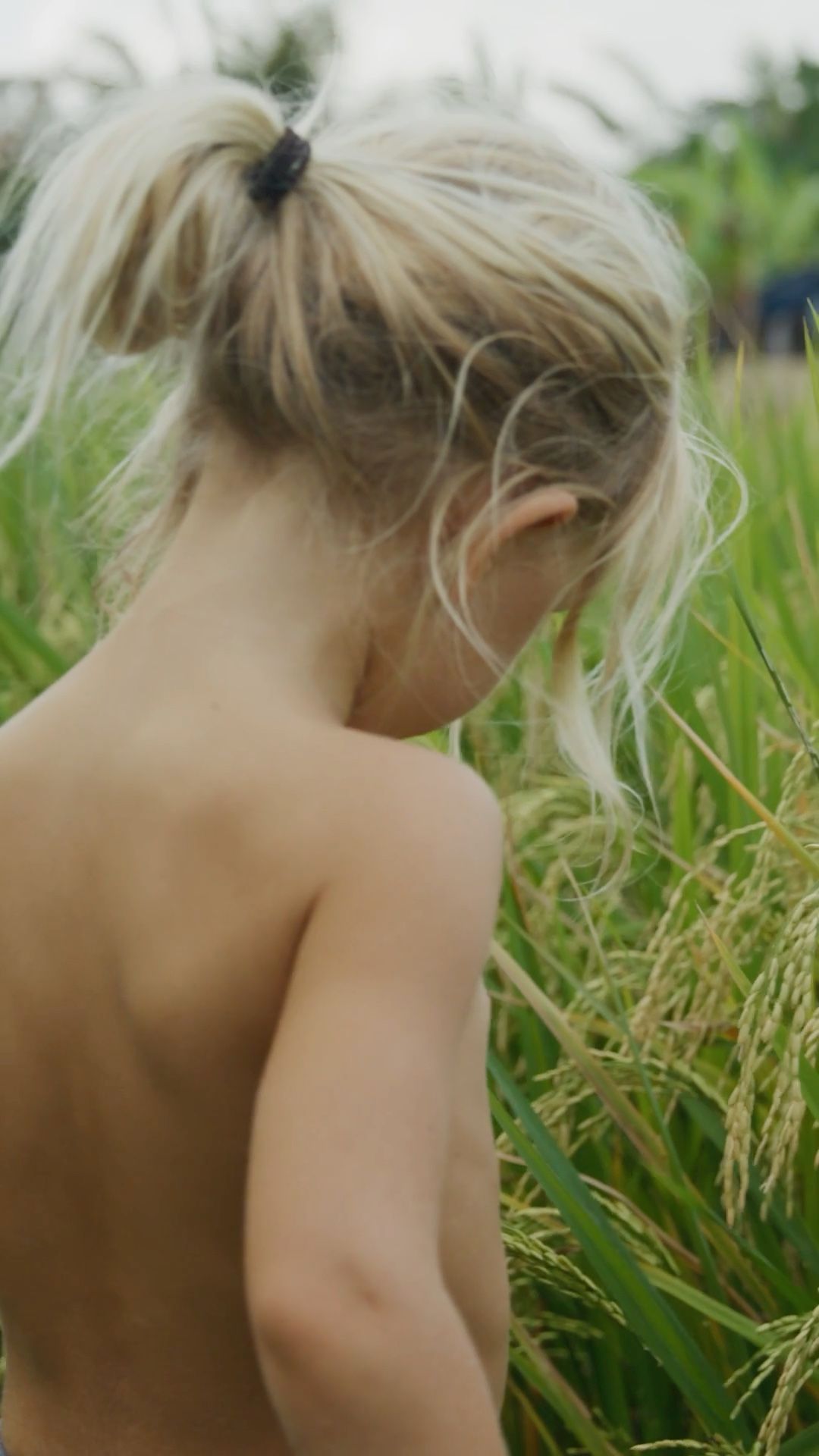 Slow Yourself Down — Rice fields