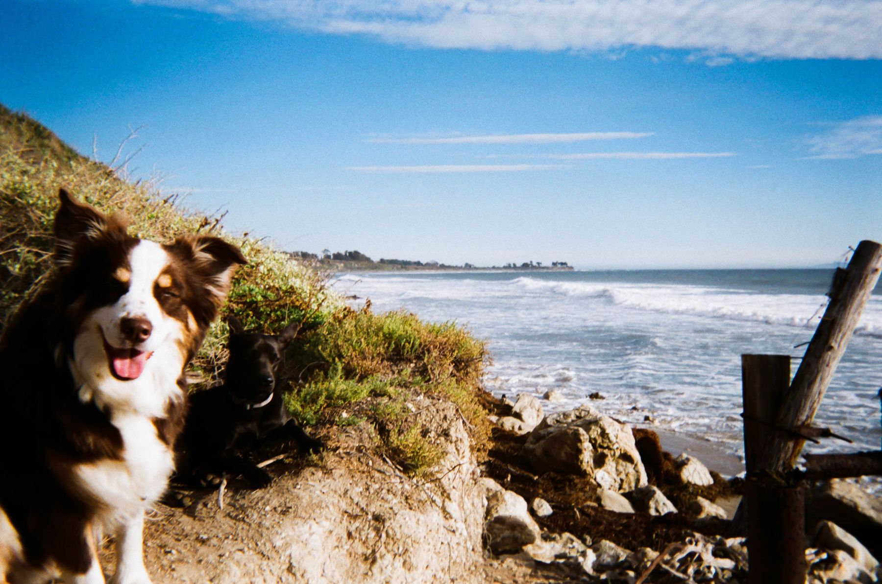35mm film photograph by Farren Hill