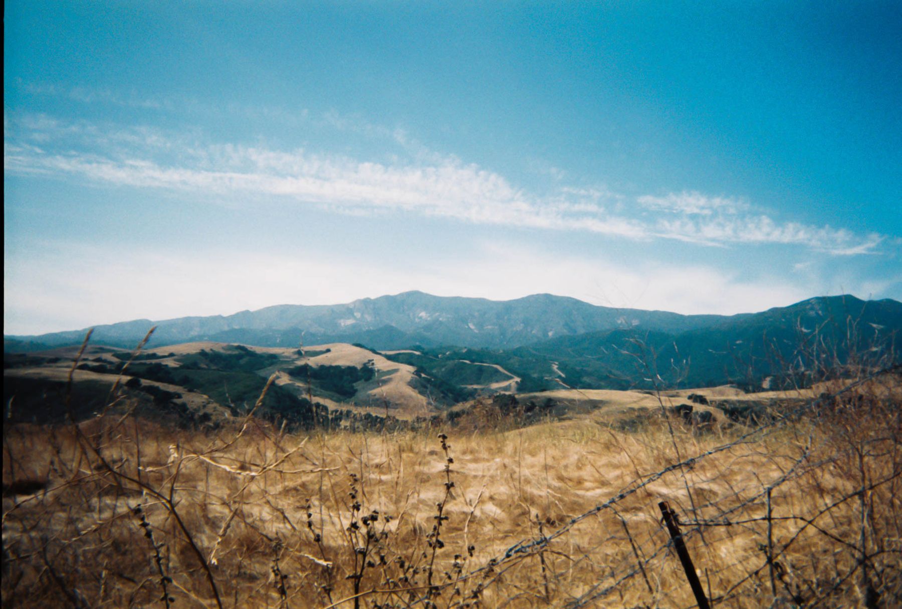 35mm film photograph by Farren Hill