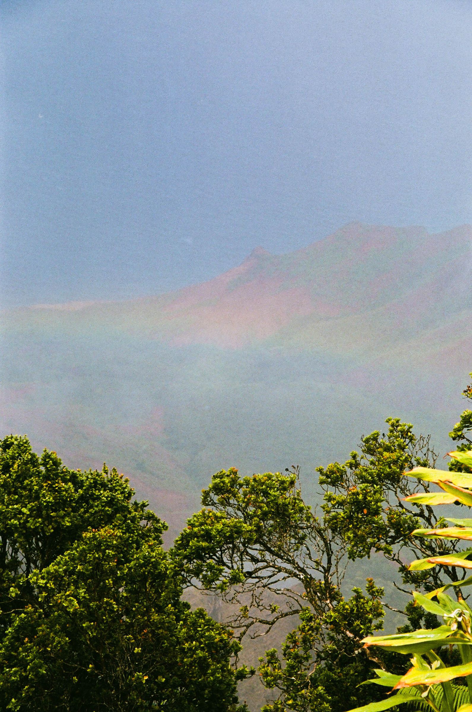 35mm film photograph by Farren Hill