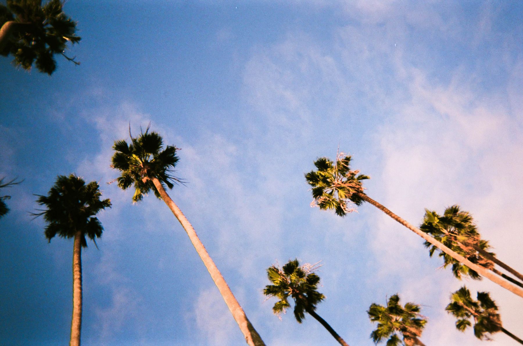 35mm film photograph by Farren Hill