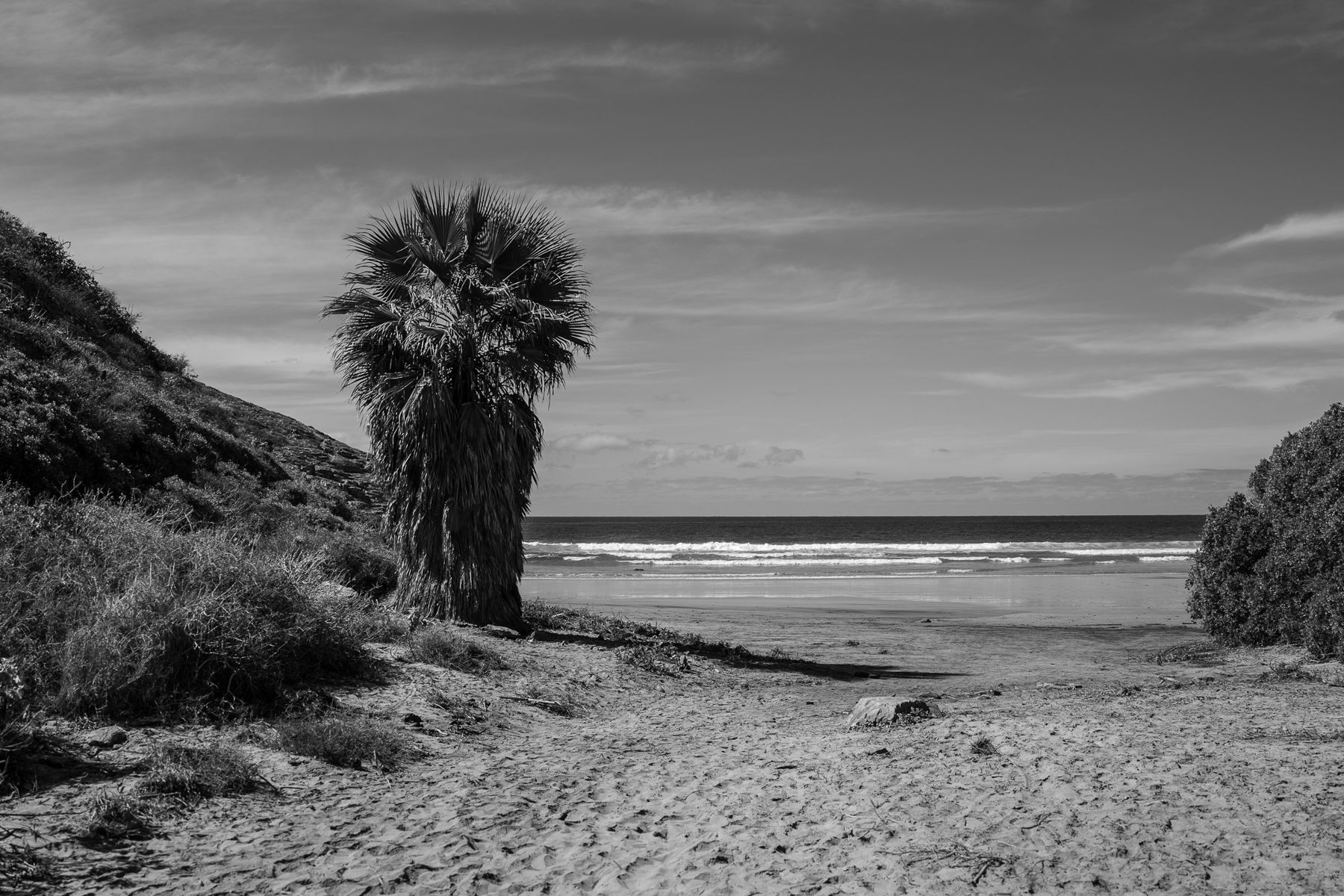 David Morin — photo 5 by Farren Hill
