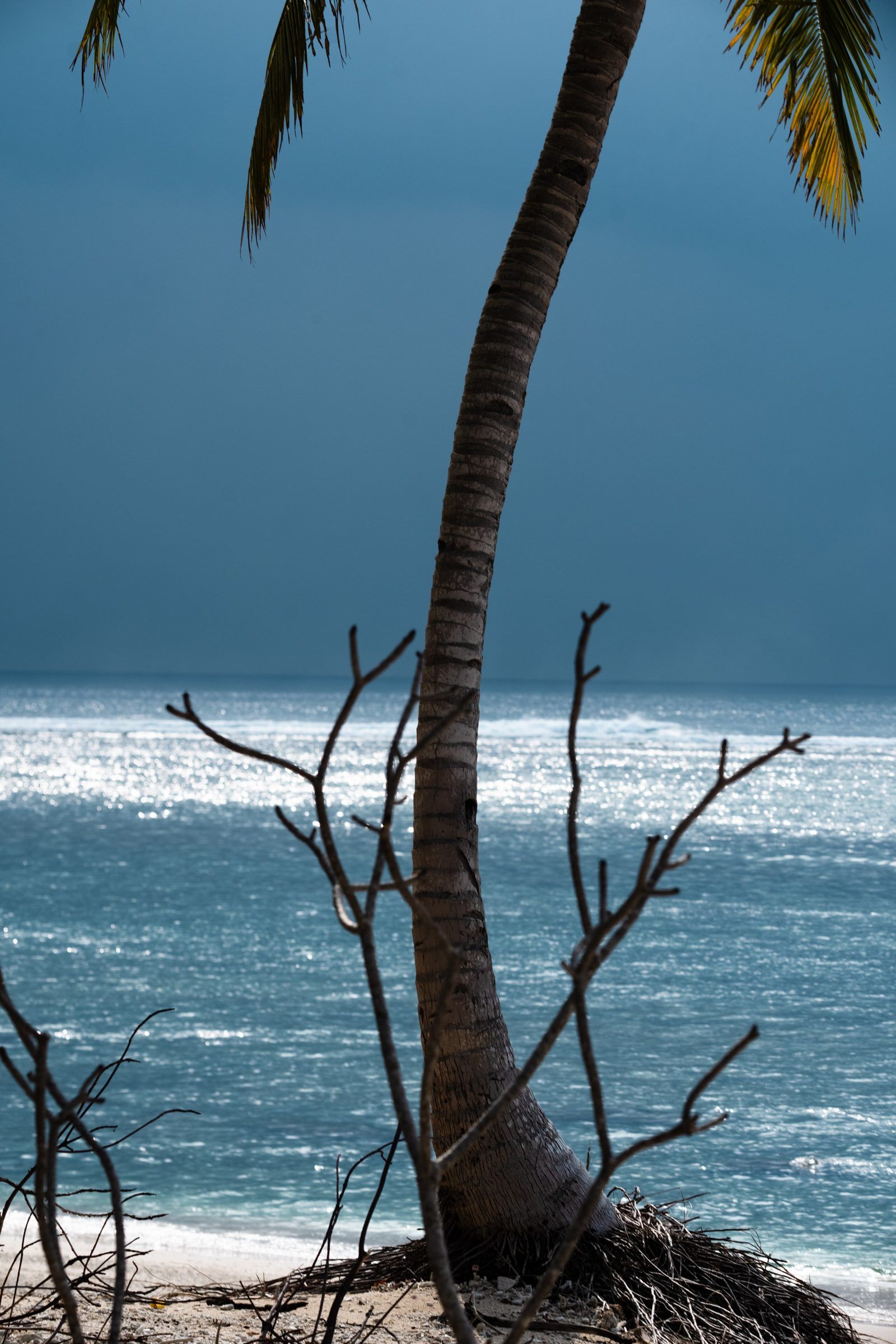 Kandui Villas — photo 5 by Farren Hill