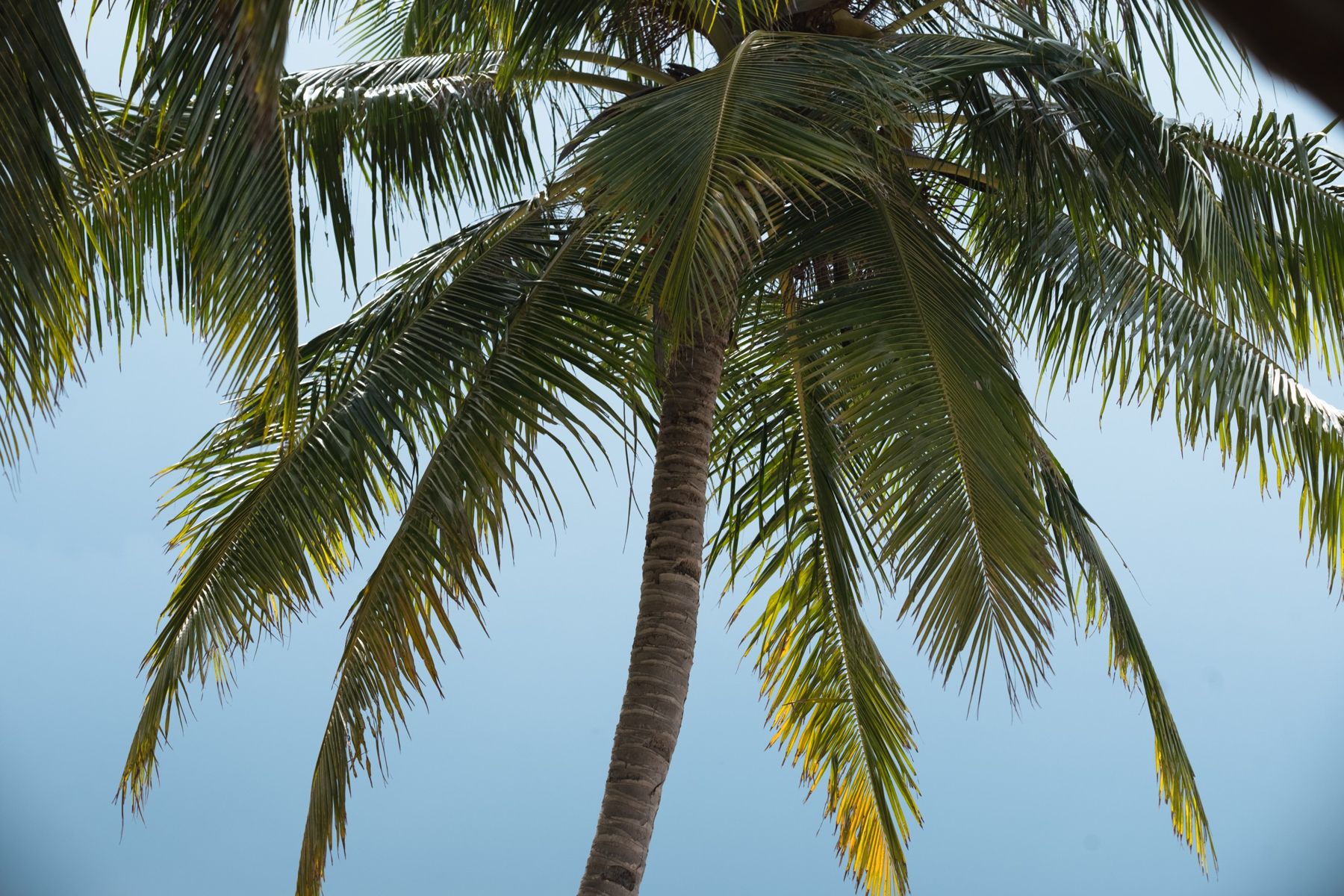 Kandui Villas — photo 7 by Farren Hill