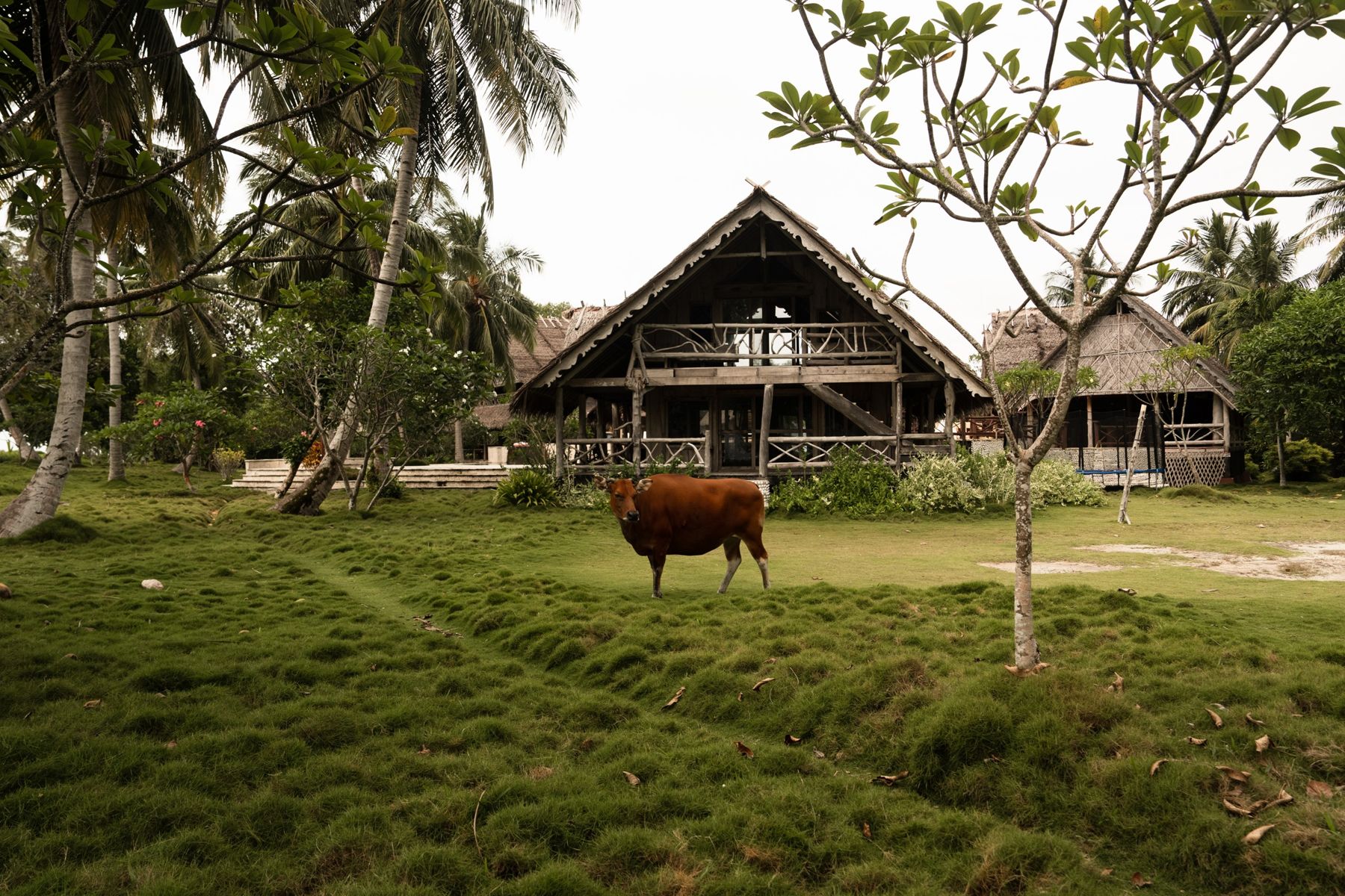 Kandui Villas — photo 11 by Farren Hill